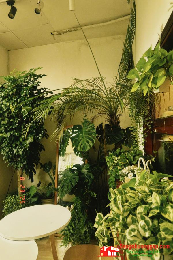 Sang quán cafe