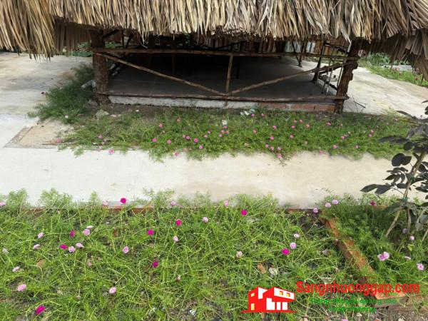 Sang quán ăn - nhậu