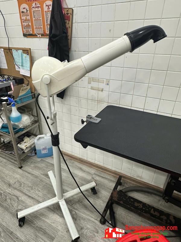 Sang cửa hàng thú nuôi